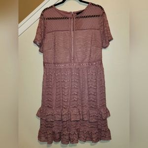 Lane Bryant 14 Lilac Lace